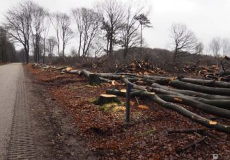 Natuurherstel op het Springendal