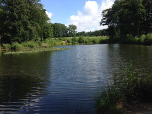 Spirituele natuurwandeling op het Springendal