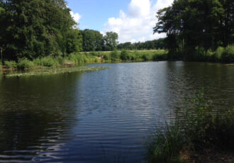 Spirituele natuurwandeling op het Springendal