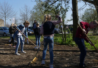 Meander leerlingen zetten zich in om vlinder en bij te redden