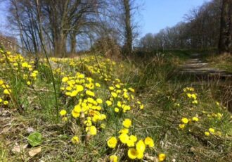 Spirituele Natuurwandeling Tankenberg