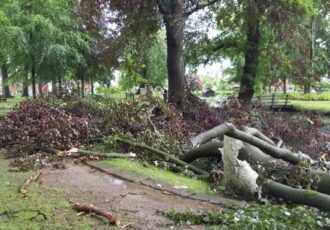 Statige beuk niet bestand tegen heftige onweersbui