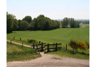 Wandel de ochtend tegemoet