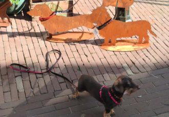 Kunst in Ootmarsum met vlaggen in top en een live hond in een mooi decor