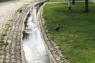 Er stroomt weer water door de beek