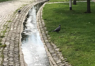 Er stroomt weer water door de beek