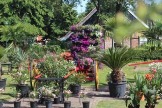 Na 30 jaar geen bloemenshow meer op het terrein van het Openluchtmuseum