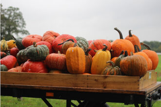 Herfst rond Ootmarsum…pompoenentijd