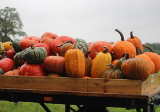 Herfst rond Ootmarsum…pompoenentijd