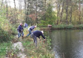 Wielerclub Ootmarsum verwijdert elzen op het Springendal