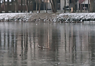 Heukske: Van wandeling naar ….. wens?