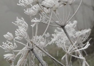 Een boeiende reis door een herfstachtig en soms al winters Springendal