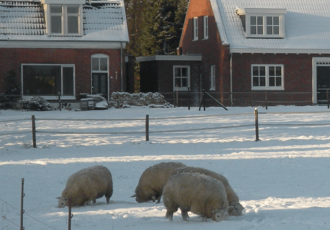 Heukske: Binnenes groen en wit