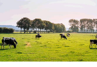 “Geen woorden, maar daden: juist nu meer geld voor innovatie in de landbouw”