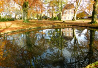 Wie helpt de vijver van Engels’ tuin aan vis