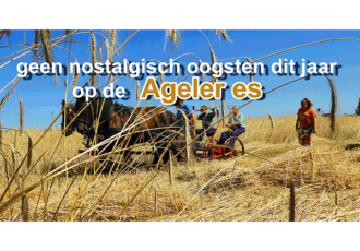 Geen nostalgische Oogstdag op de Ageler Es