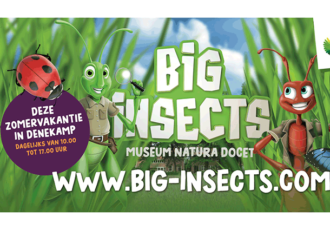 BIG Insects in de parktuin van Natura Docet