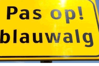 Negatief zwemadvies zwemplas Papillon door blauwalg