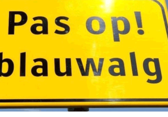 Negatief zwemadvies zwemplas Papillon door blauwalg