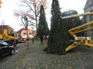Kunst – en vliegwerk, maar de kerstbomen staan