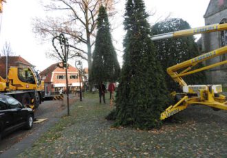 Kunst – en vliegwerk, maar de kerstbomen staan