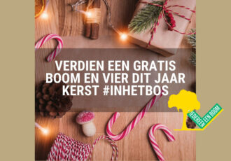 KERSTBOOM BINNEN, DAN OOK EEN BOOM BUITEN
