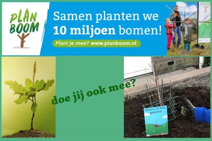 Boompjes voor beginners