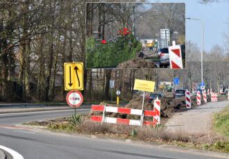 Bloemrijke bermen langs de rondweg in Ootmarsum