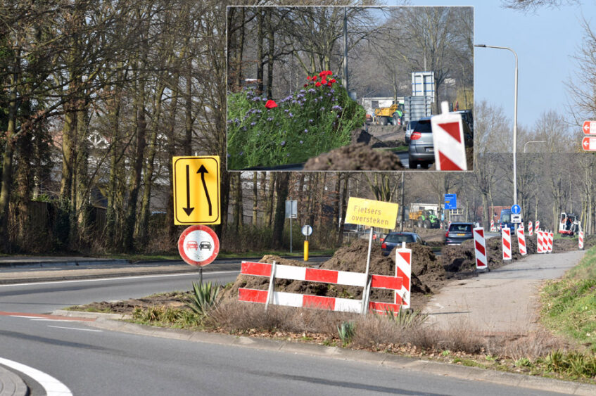 Bloemrijke bermen langs de rondweg in Ootmarsum