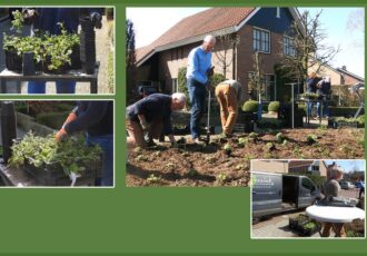 ‘Green to Colour’  aan de van Bodelswingstraat