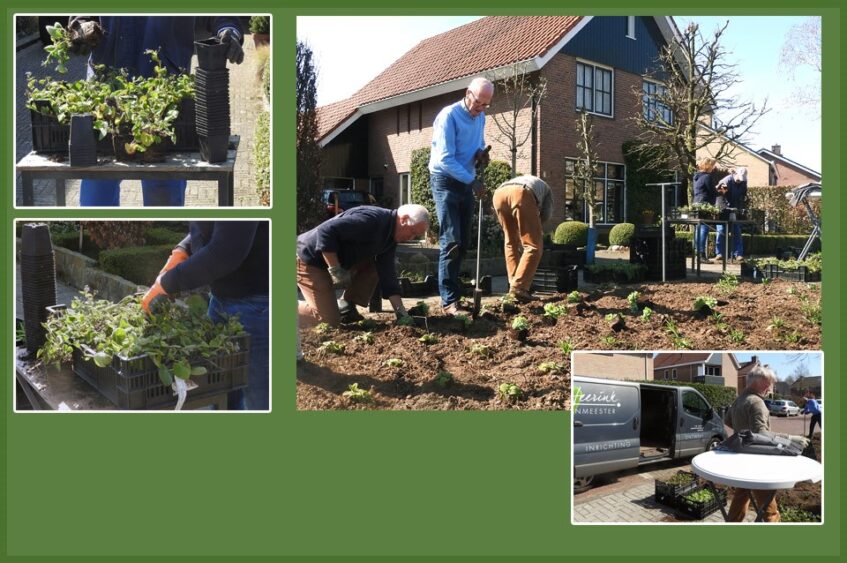 ‘Green to Colour’  aan de van Bodelswingstraat