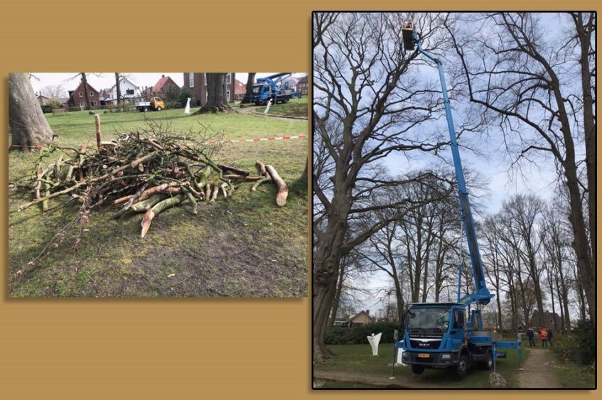 Weer veilig door Engels’ tuin