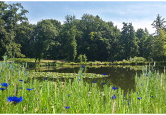 Ontdek de bronnen en beken van het Springendal