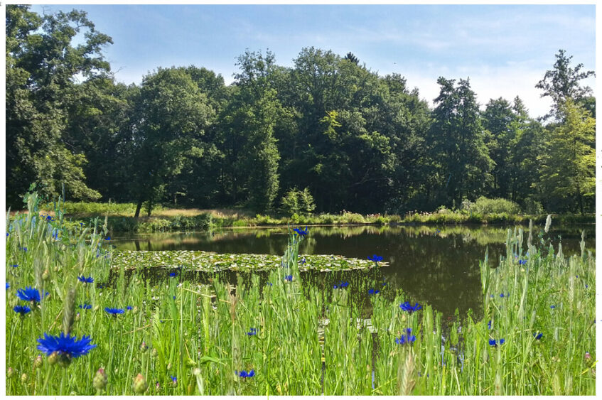 Ontdek de bronnen en beken van het Springendal