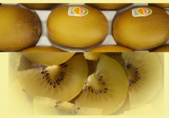 Kennismaken met Zespri-kiwi’s op de markt in Ootmarsum