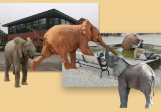 Twee kuddes olifantjes tot na Kerst in Ootmarsum en Denekamp
