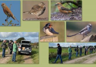 Trouwe vogelaars op hun post