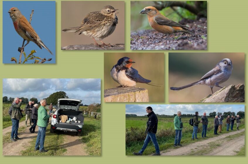 Trouwe vogelaars op hun post