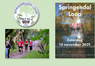 Springendalloop niet langs ‘het Mariabeeldje’