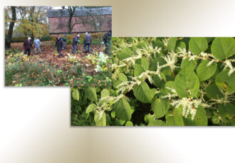 Natuurlijk vrijwilliger in de natuur