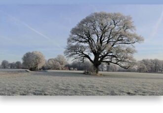 Een prachtige winterse dag ‘rijp’ om te fotograferen