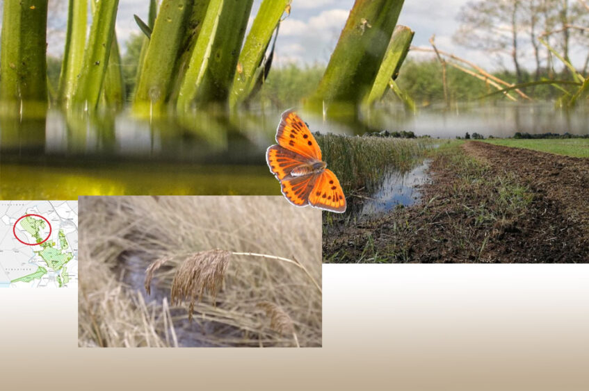 Na Dinkeldal Zuid nu ook Inpassingsplan Weerribben
