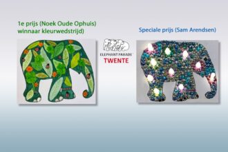 Noek Oude Ophuis wint kleurwedstrijd Elephant Parade Twente