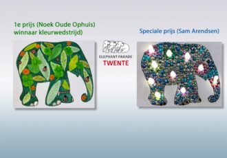 Noek Oude Ophuis wint kleurwedstrijd Elephant Parade Twente