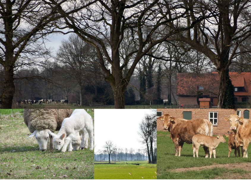 Kennissessie voor het buitengebied van Noordoost-Twente