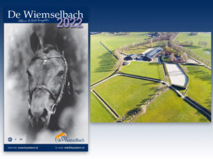 Hengstenshow op de Wiemselbach