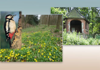 Spirituele Natuurwandeling Tankenberg