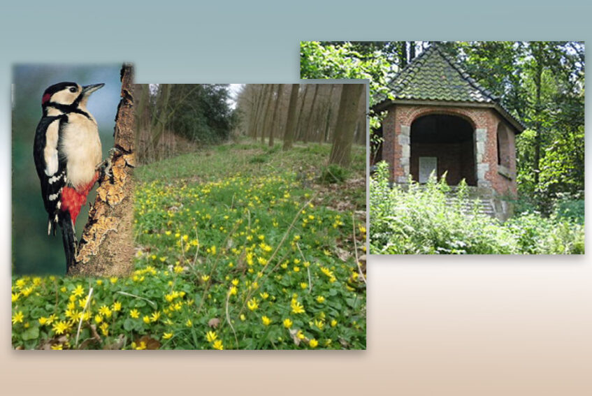 Spirituele Natuurwandeling Tankenberg