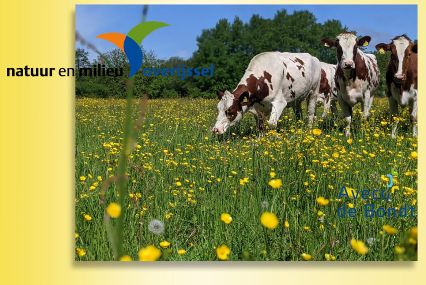 Verdienen aan natuur voor boeren nog niet eenvoudig