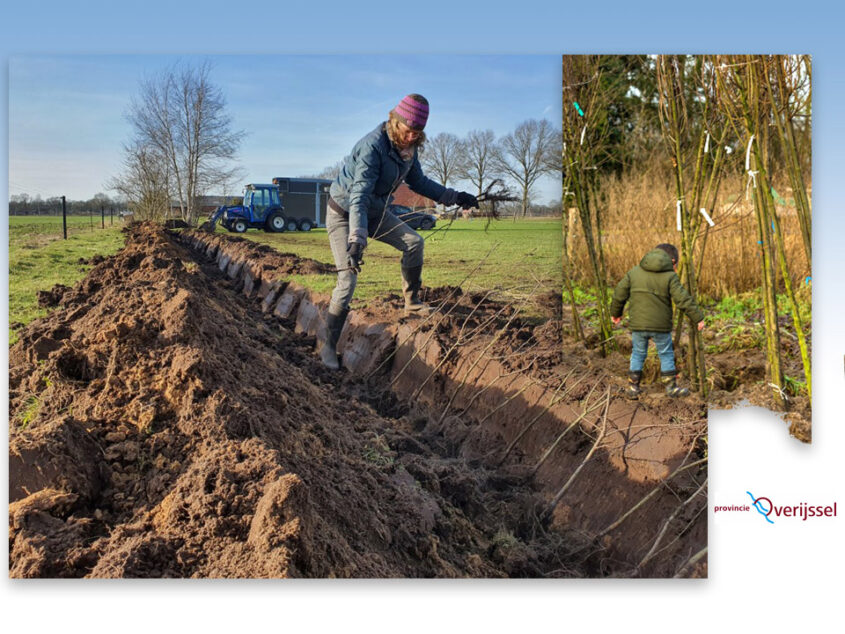 Inwoners Overijssel kunnen goedkoop plantmateriaal aanvragen